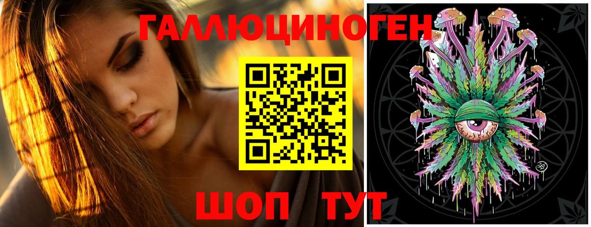 Псилоцибиновые грибы Psilocybe Липецк